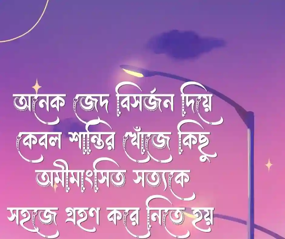 মানিয়ে নেওয়া নিয়ে স্ট্যাটাস
