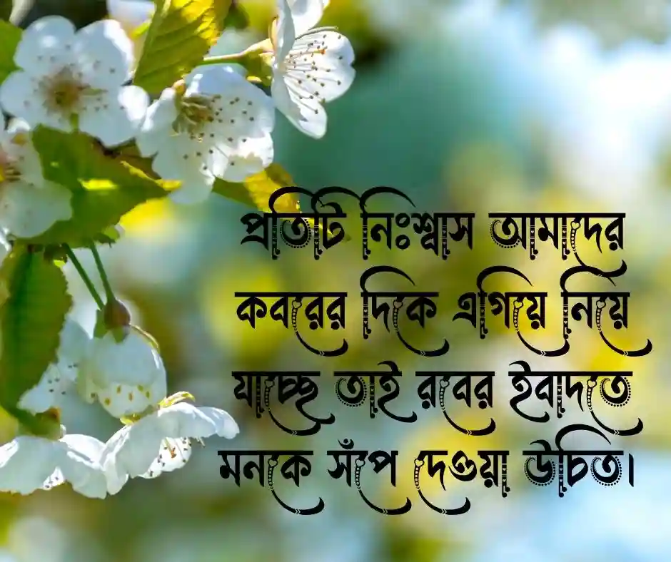 মৃত্যু নিয়ে ইসলামিক ক্যাপশন