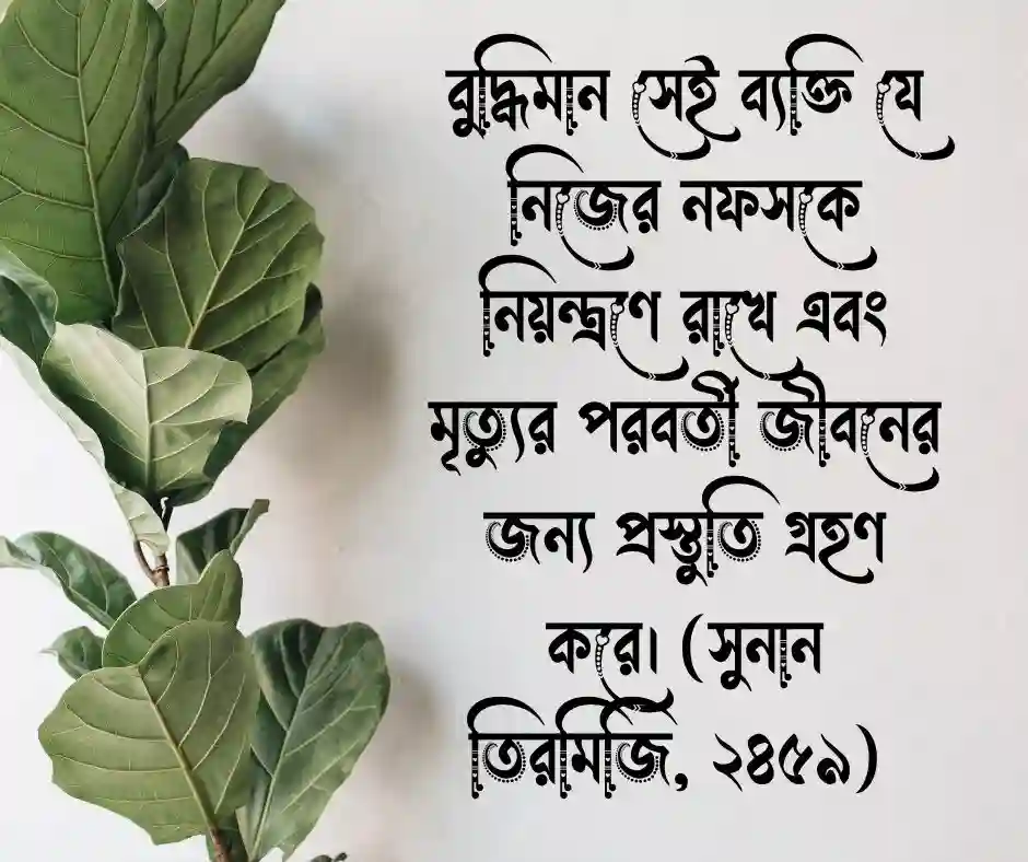 মৃত্যু নিয়ে হাদিস