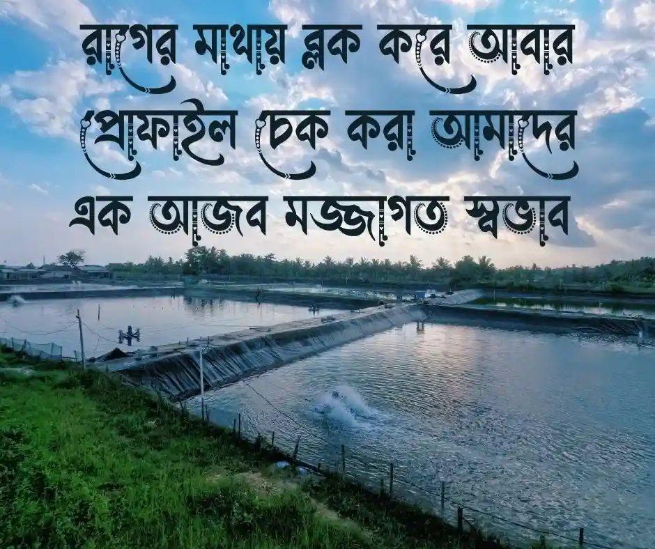 মেয়েদের নিয়ে ফানি এসএমএস