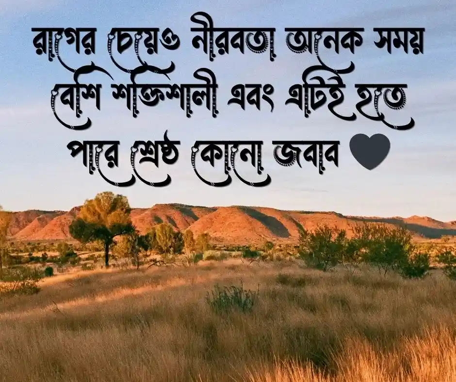 রাগ প্রতিশোধ নিয়ে উক্তি