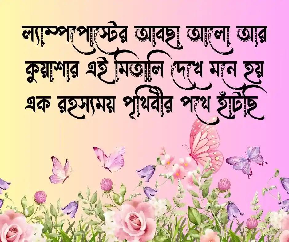 রাতের কুয়াশা নিয়ে ক্যাপশন