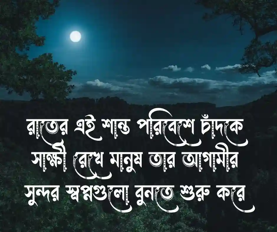 রাতের চাঁদ নিয়ে ক্যাপশন