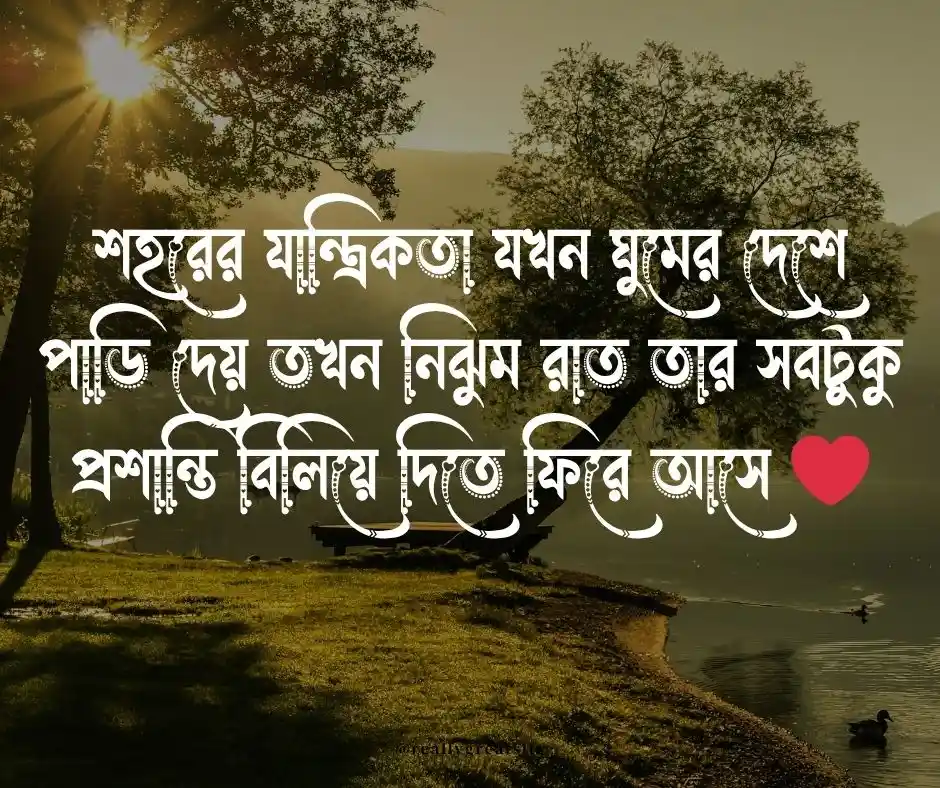 রাতের নিস্তব্ধতা নিয়ে ক্যাপশন