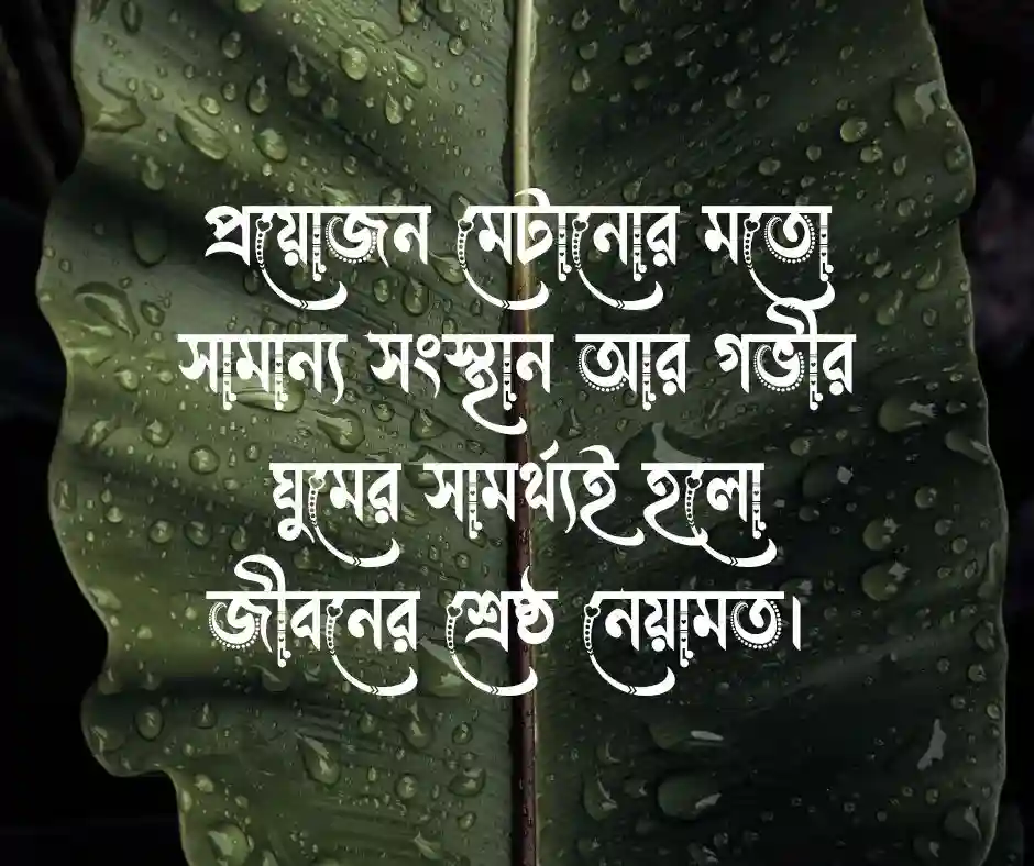 রিজিক নিয়ে উক্তি