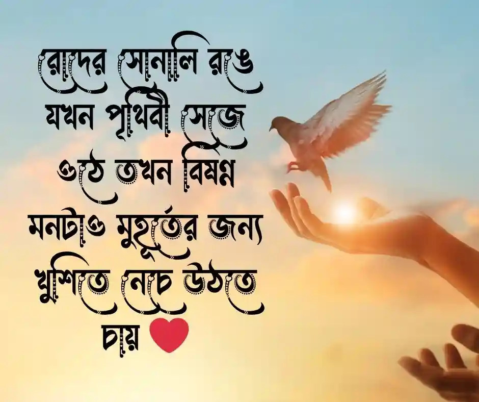 রোদ নিয়ে ক্যাপশন