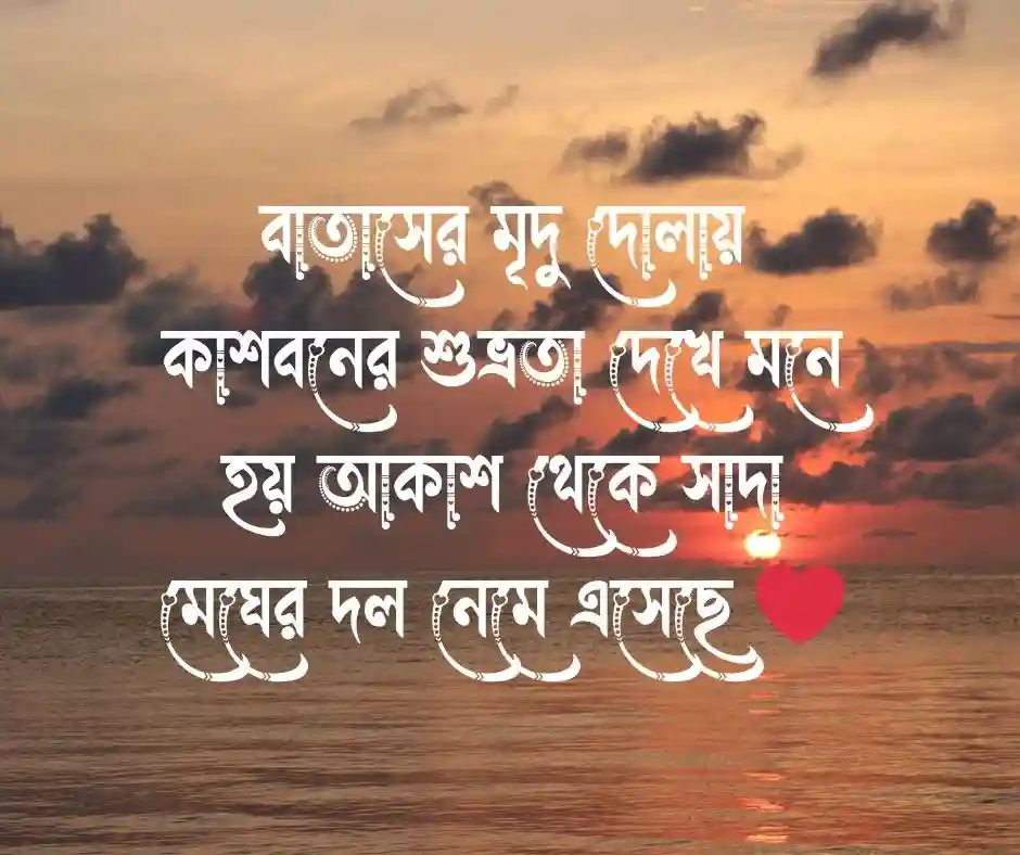 শরতের কাশফুল নিয়ে ক্যাপশন