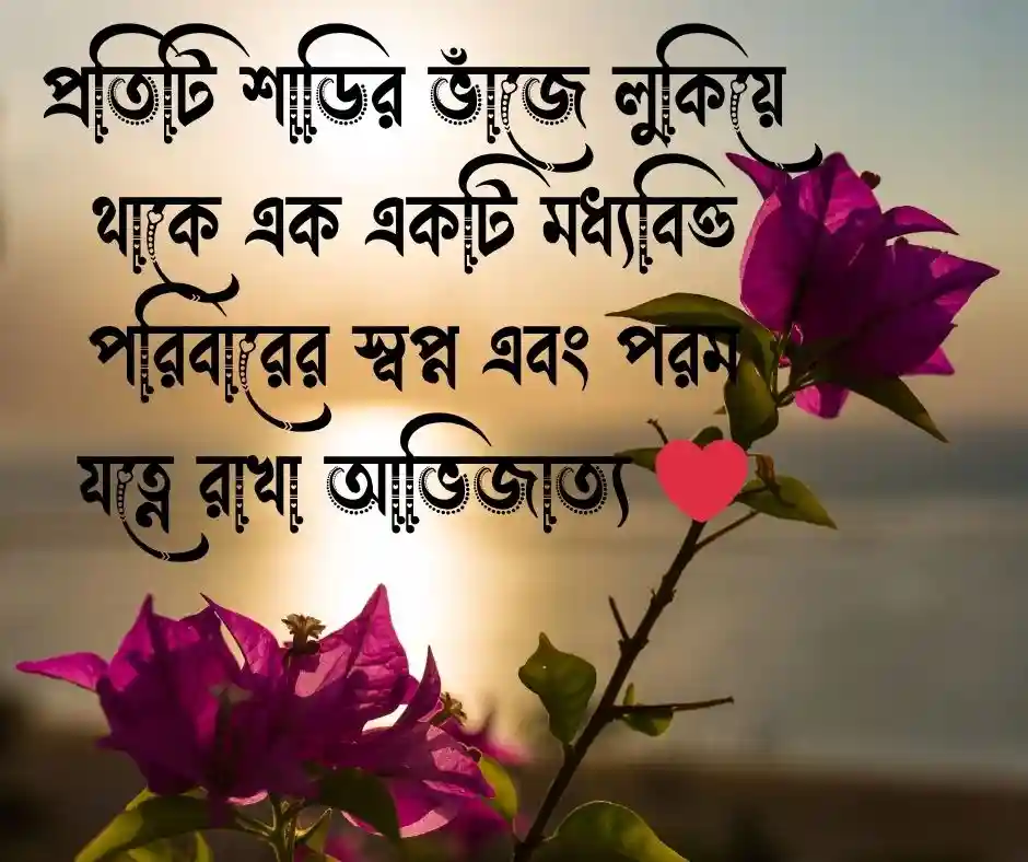 শাড়ি নিয়ে উক্তি