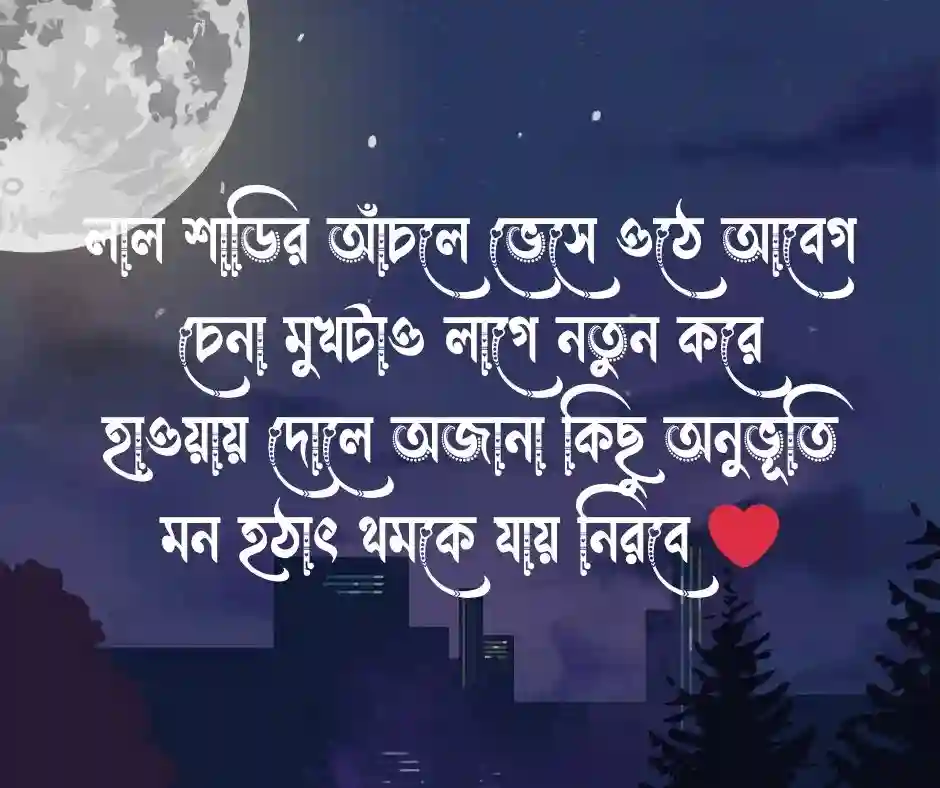 শাড়ি নিয়ে কবিতা