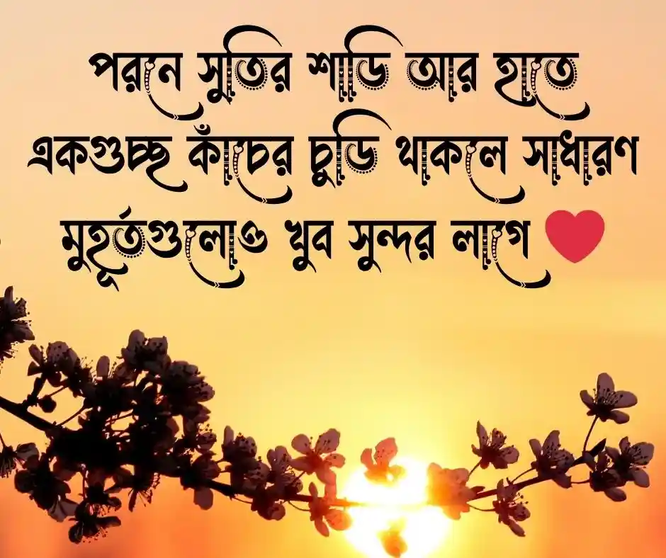 শাড়ি নিয়ে ক্যাপশন
