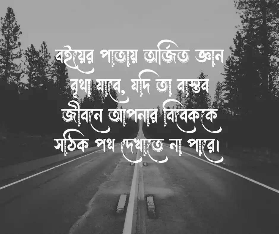 শিক্ষামূলক বিবেক নিয়ে উক্তি