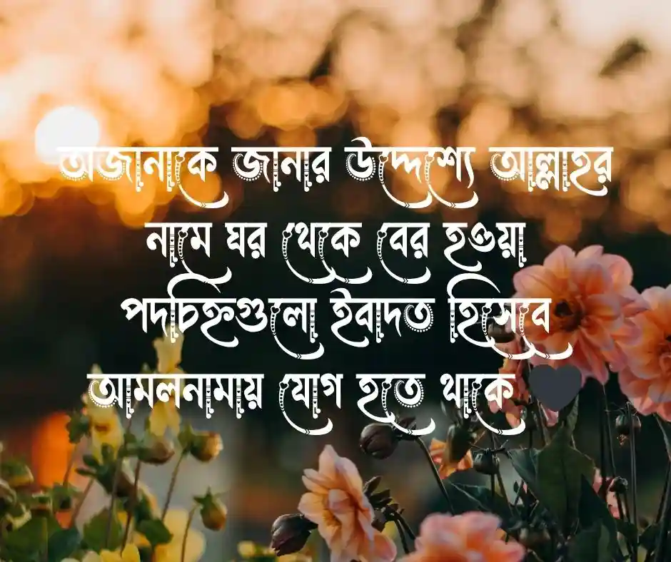 শিক্ষা সফর নিয়ে ইসলামিক উক্তি