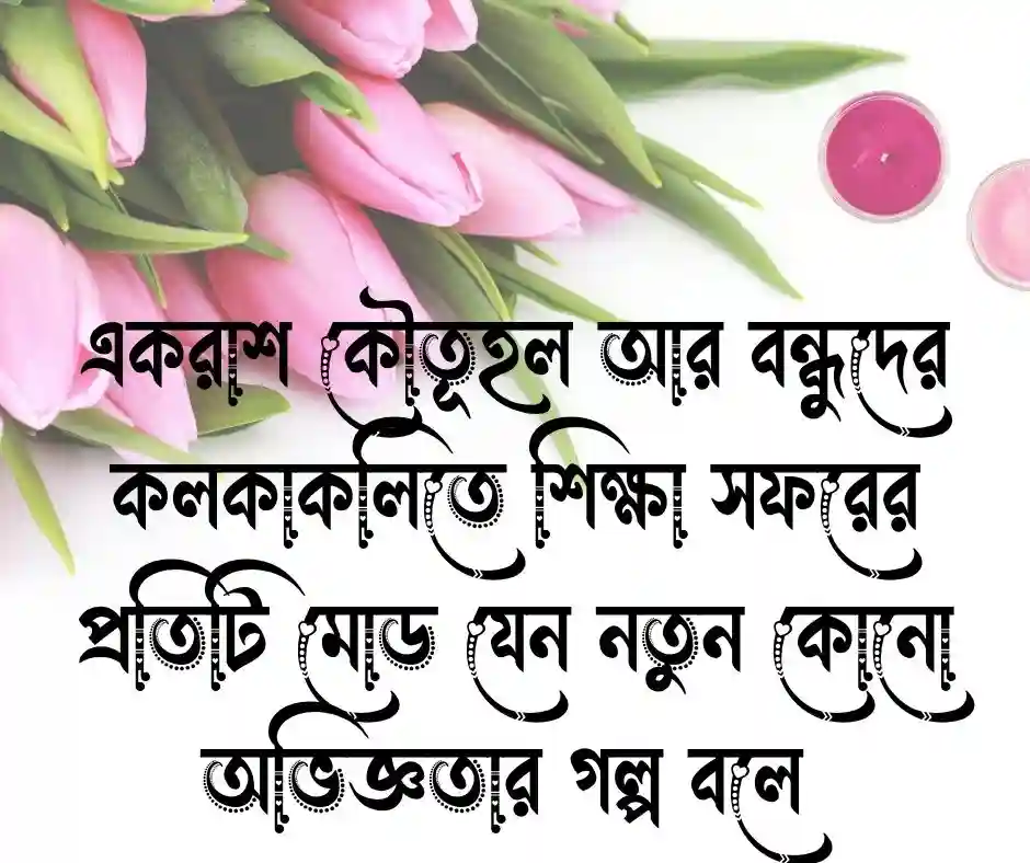 শিক্ষা সফর নিয়ে স্ট্যাটাস