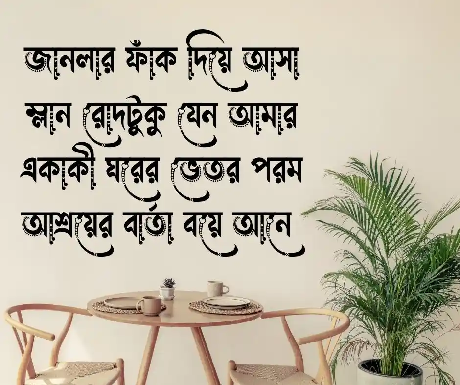 শীতের রোদ নিয়ে ক্যাপশন