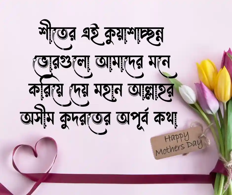 শীত নিয়ে ইসলামিক ক্যাপশন - শীত নিয়ে ইসলামিক স্ট্যাটাস