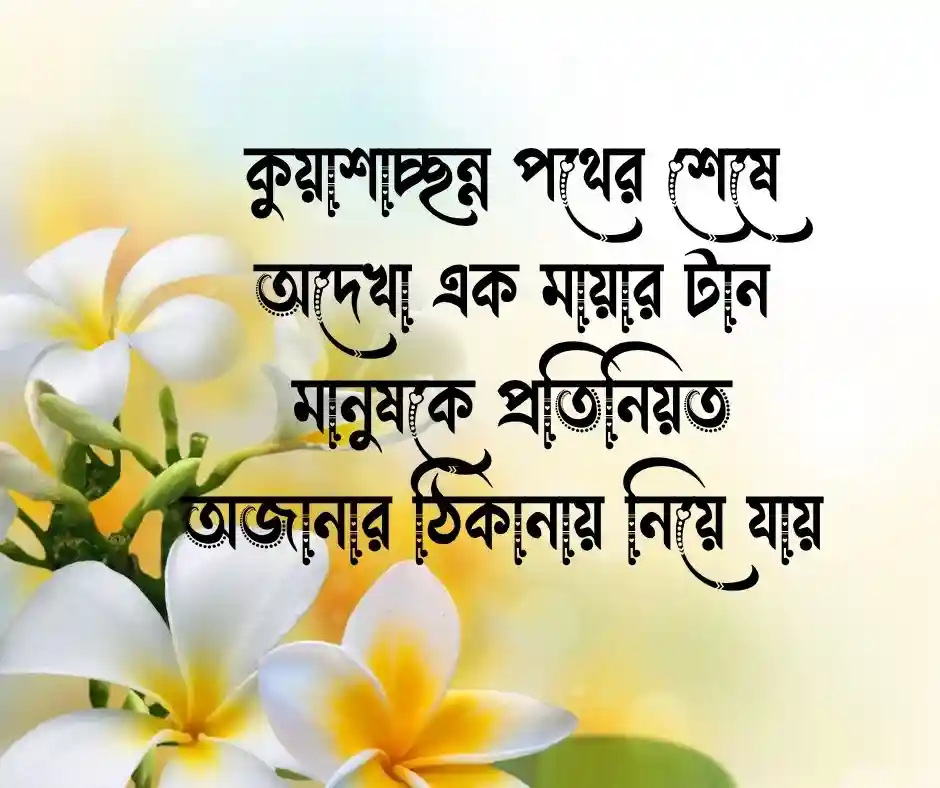 শীত নিয়ে উক্তি