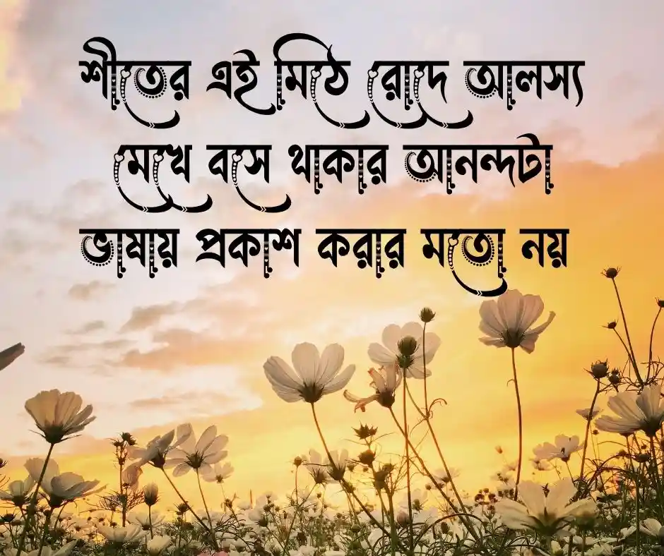 শীত নিয়ে ক্যাপশন - শীত নিয়ে স্ট্যাটাস