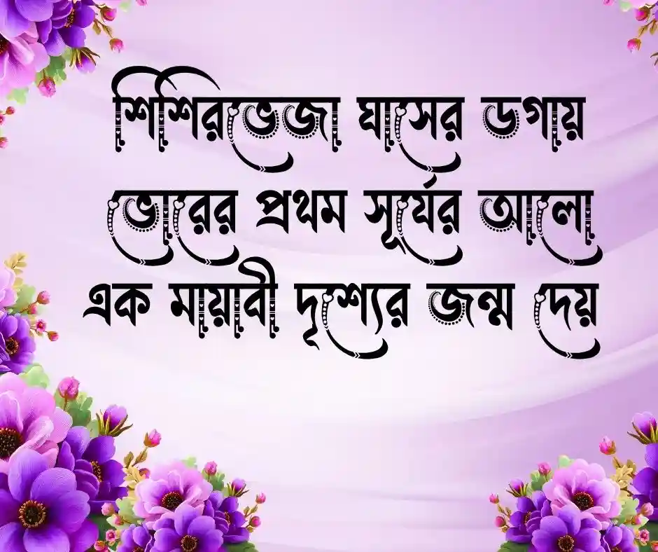 শীত নিয়ে ক্যাপশন - শীত নিয়ে স্ট্যাটাস.