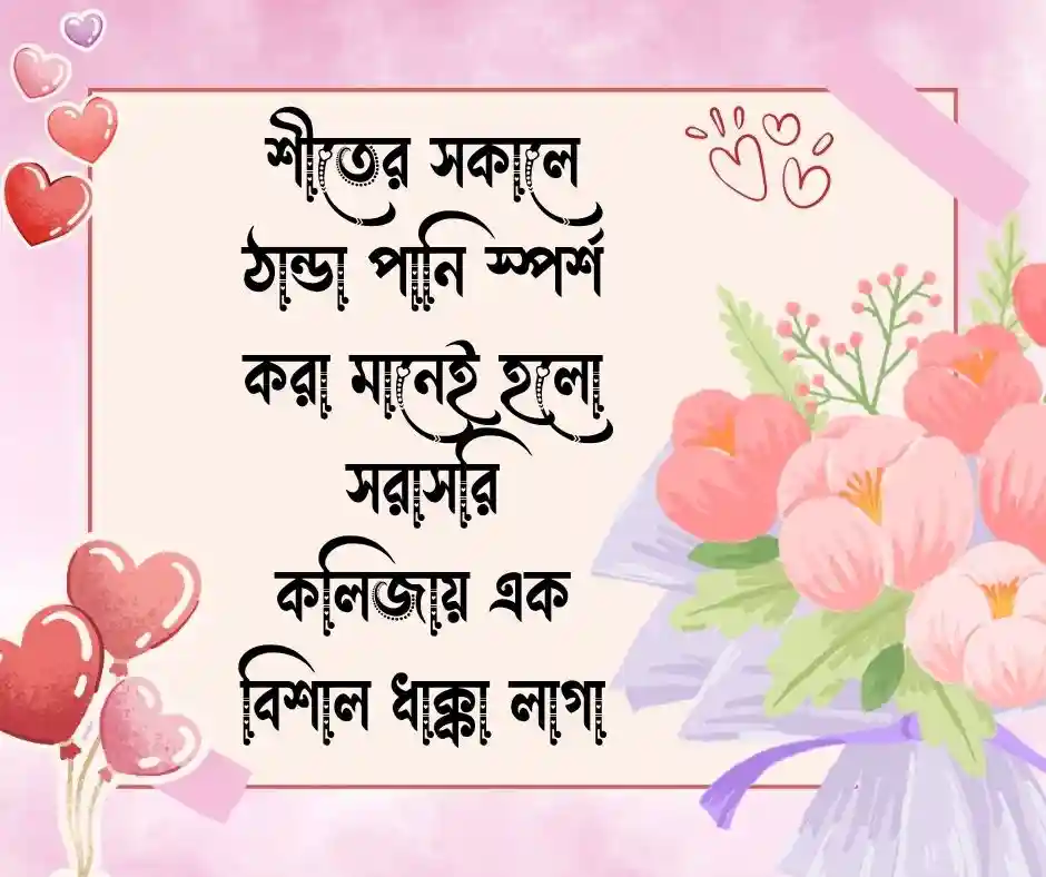 শীত নিয়ে ফানি ক্যাপশন