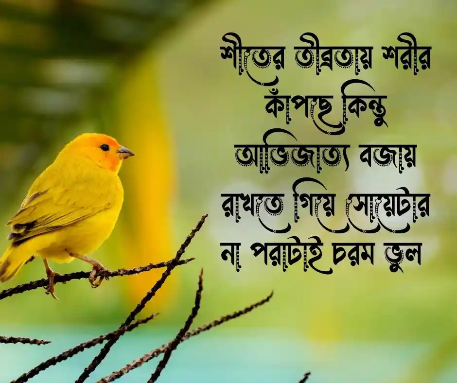 শীত নিয়ে হাসির স্ট্যাটাস - শীত নিয়ে ফানি স্ট্যাটাস