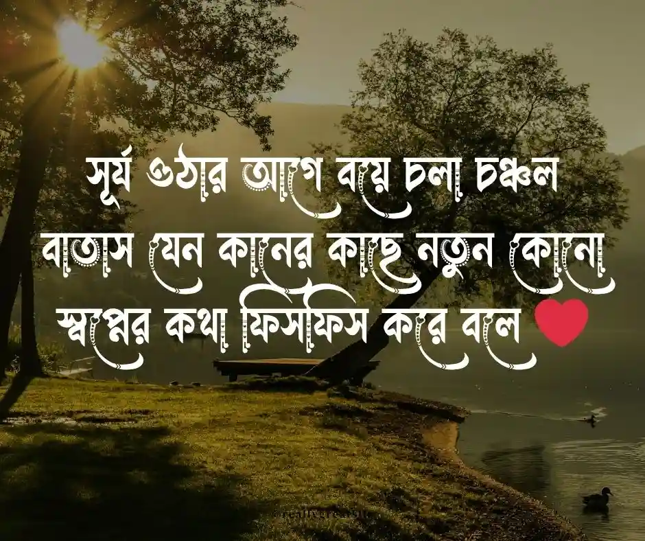 সকালের বাতাস নিয়ে উক্তি