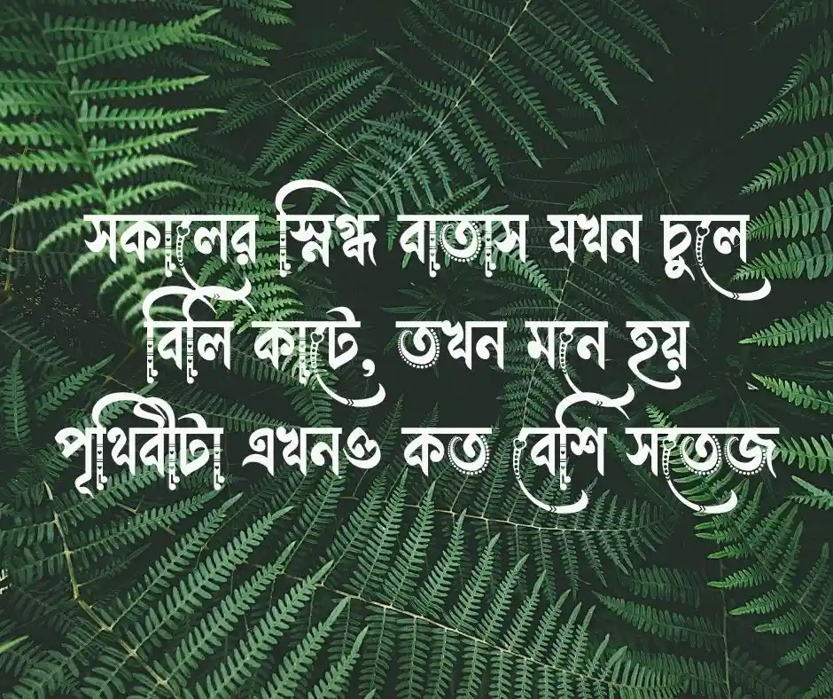 সকালের বাতাস নিয়ে ক্যাপশন