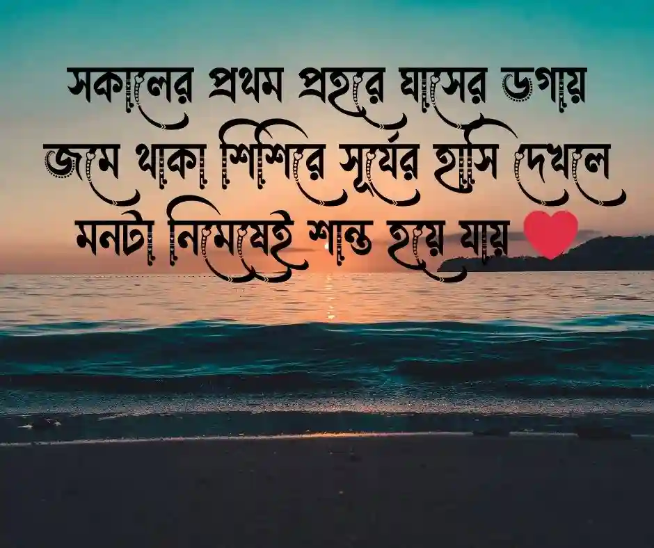 সকালের মিষ্টি রোদ নিয়ে ক্যাপশন