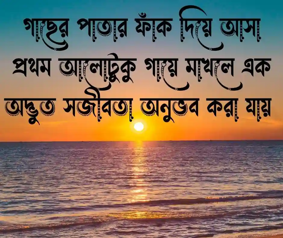 সকালের রোদ নিয়ে ক্যাপশন