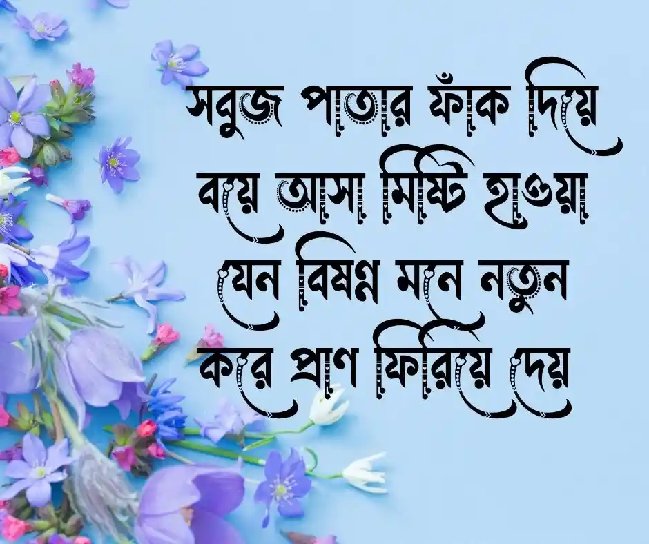 সকালের স্নিগ্ধ বাতাস নিয়ে উক্তি