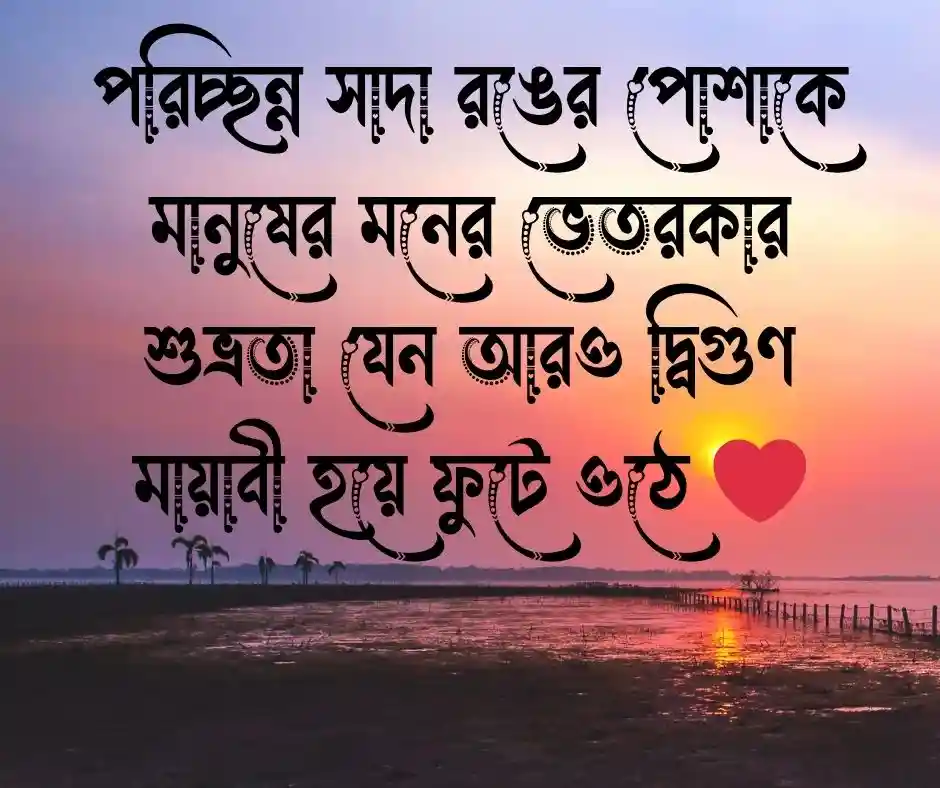 সাদা পোশাক নিয়ে উক্তি