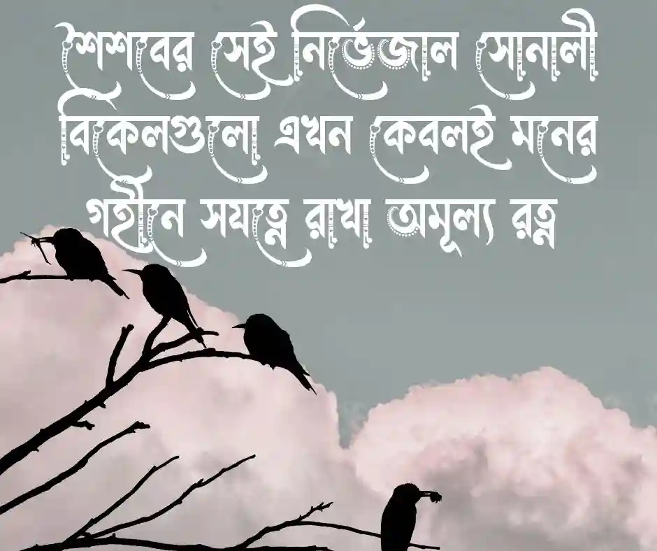 সোনালী অতীত নিয়ে উক্তি