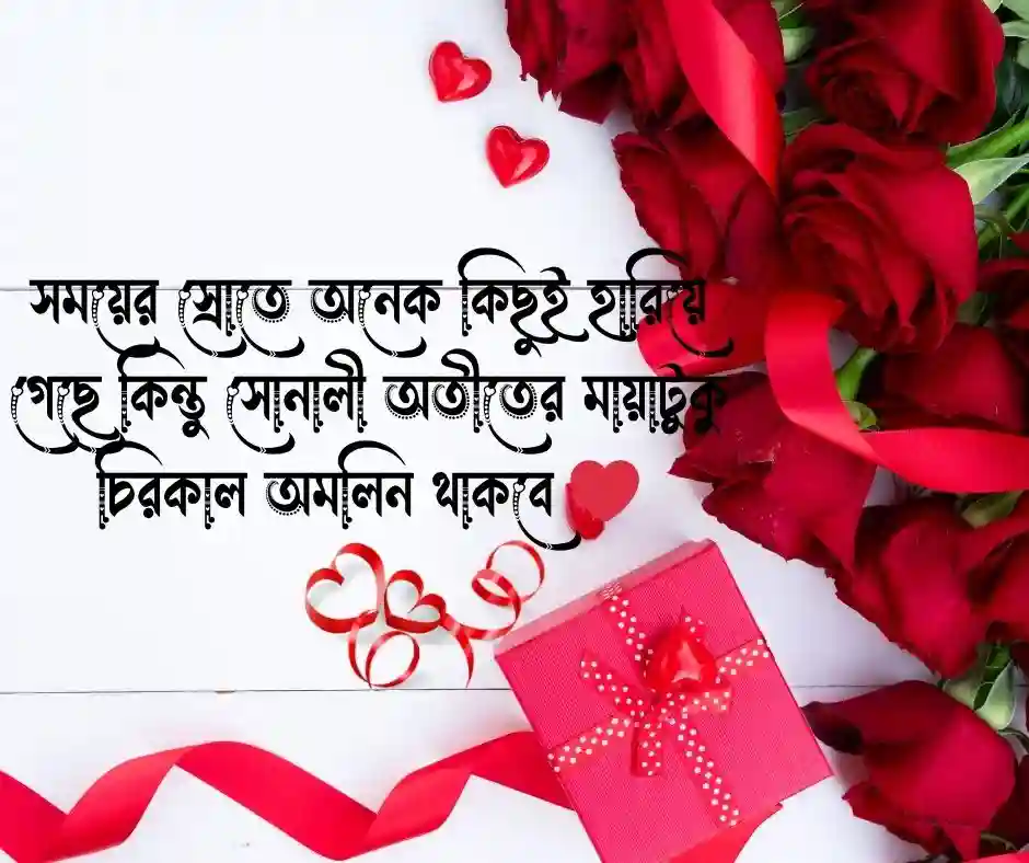 সোনালী অতীত নিয়ে ক্যাপশন