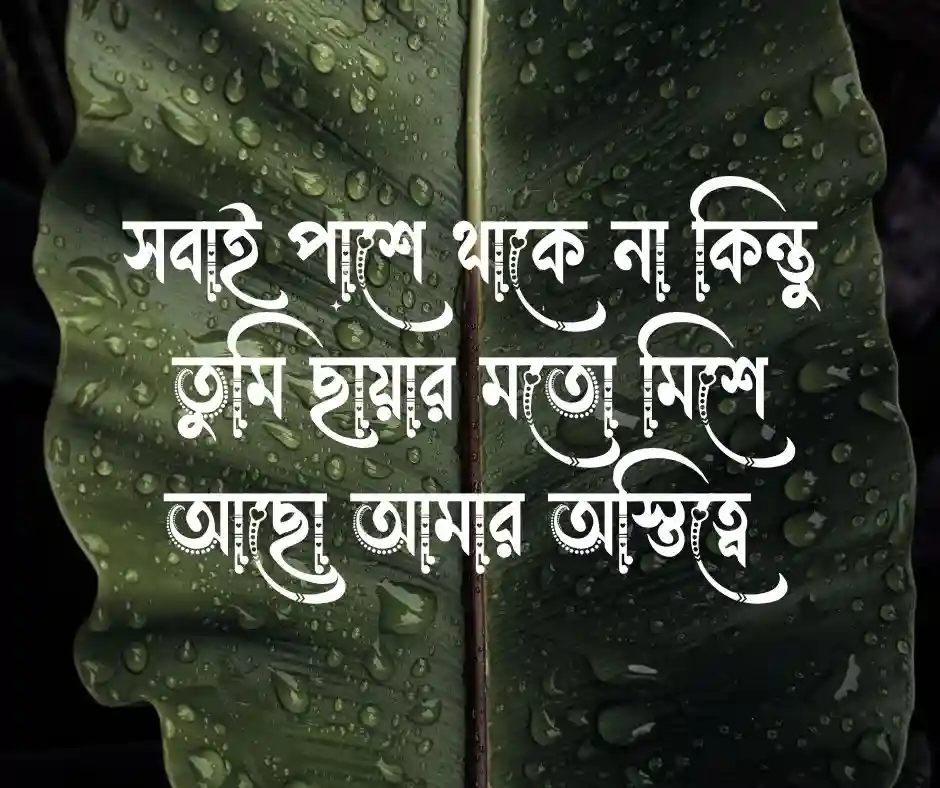স্ত্রীকে নিয়ে স্ট্যাটাস স্ত্রীকে নিয়ে ক্যাপশন