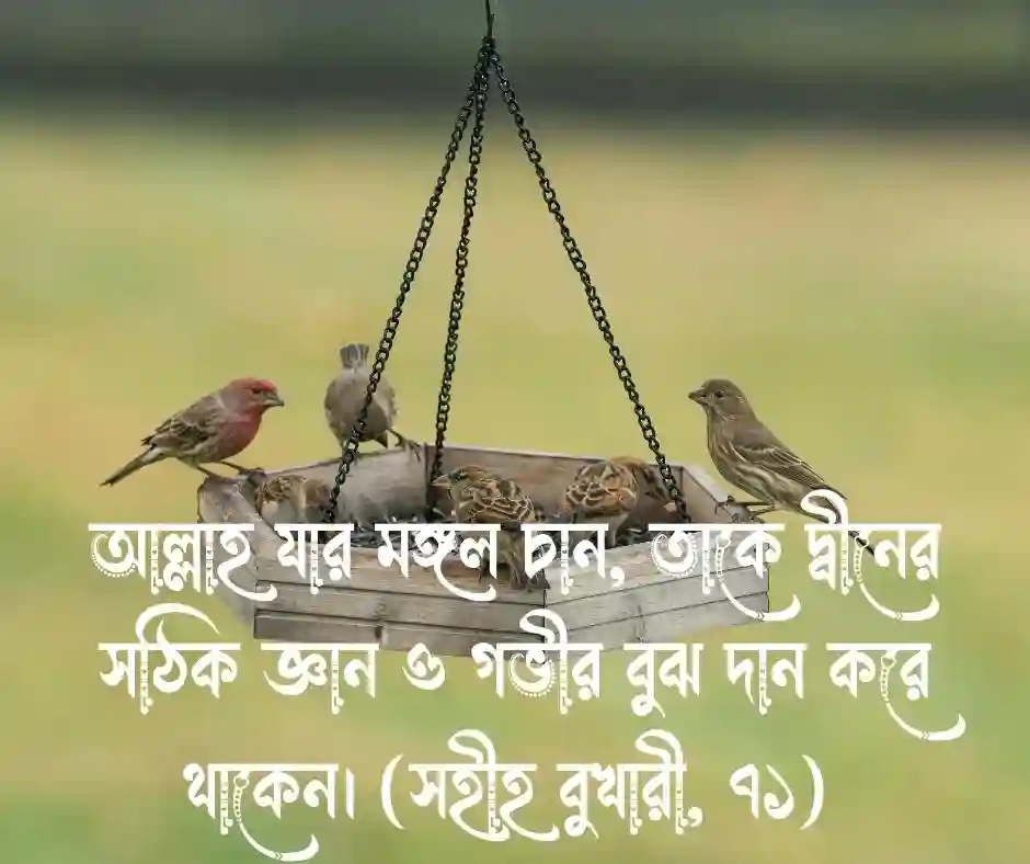 হেদায়েত নিয়ে হাদিস