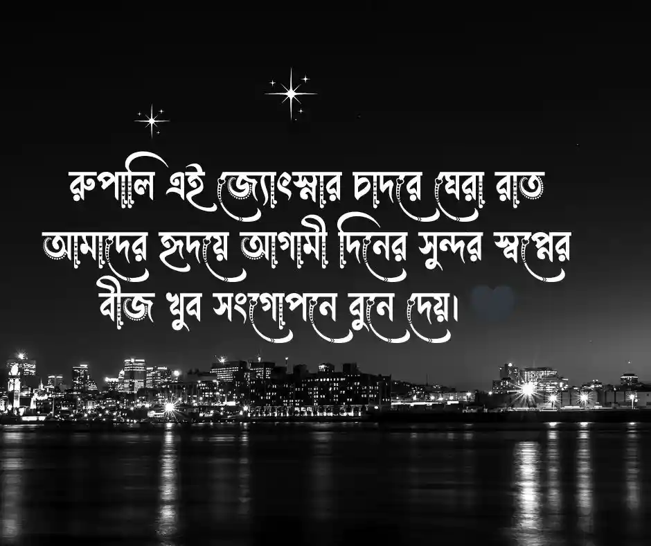 চাঁদনী রাত নিয়ে উক্তি