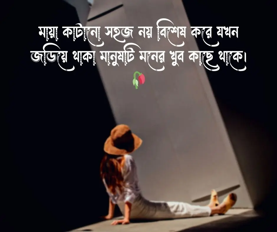 ইমোশনাল স্ট্যাটাস