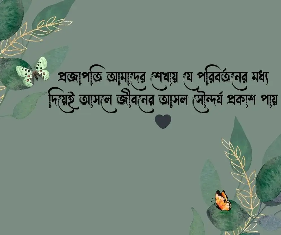 প্রজাপতি নিয়ে ক্যাপশন প্রজাপতি নিয়ে স্ট্যাটাস