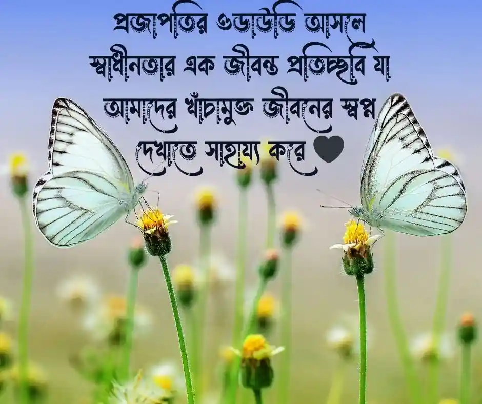 প্রজাপতি নিয়ে ছোট ক্যাপশন