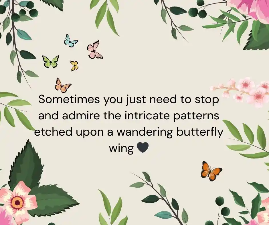 প্রজাপতি নিয়ে ক্যাপশন English