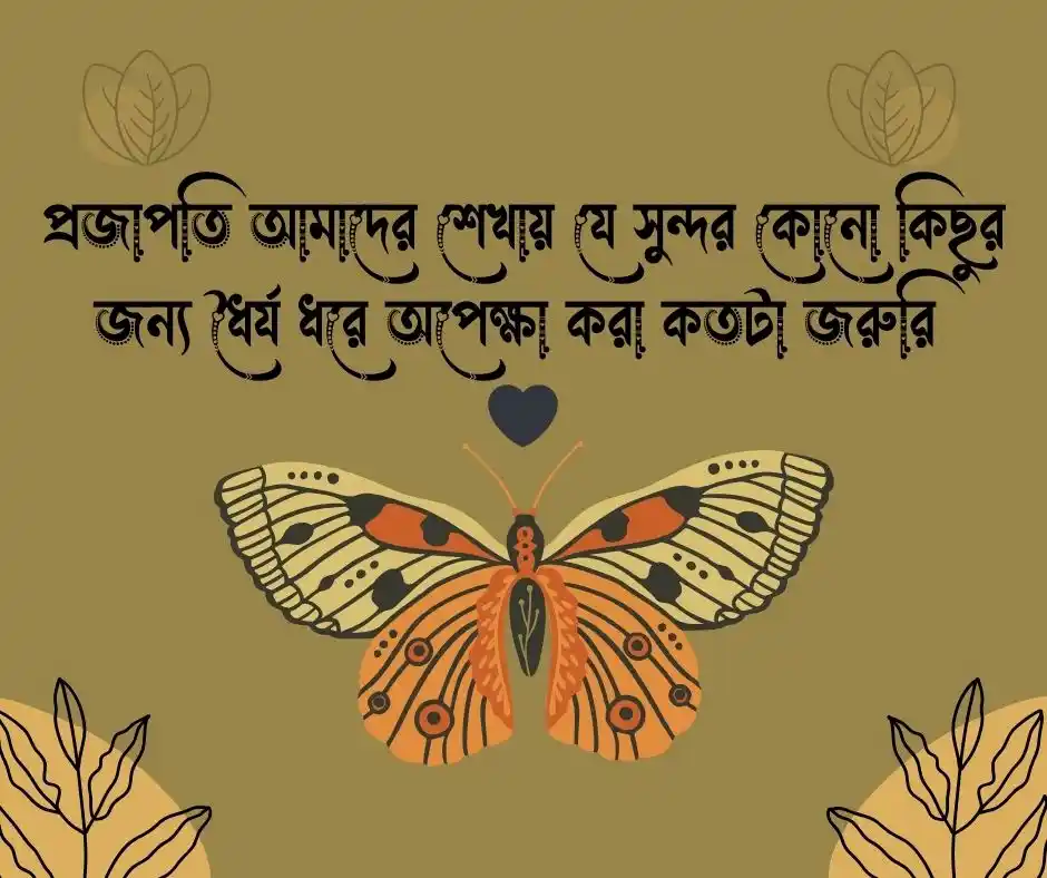 প্রজাপতি নিয়ে কিছু কথা