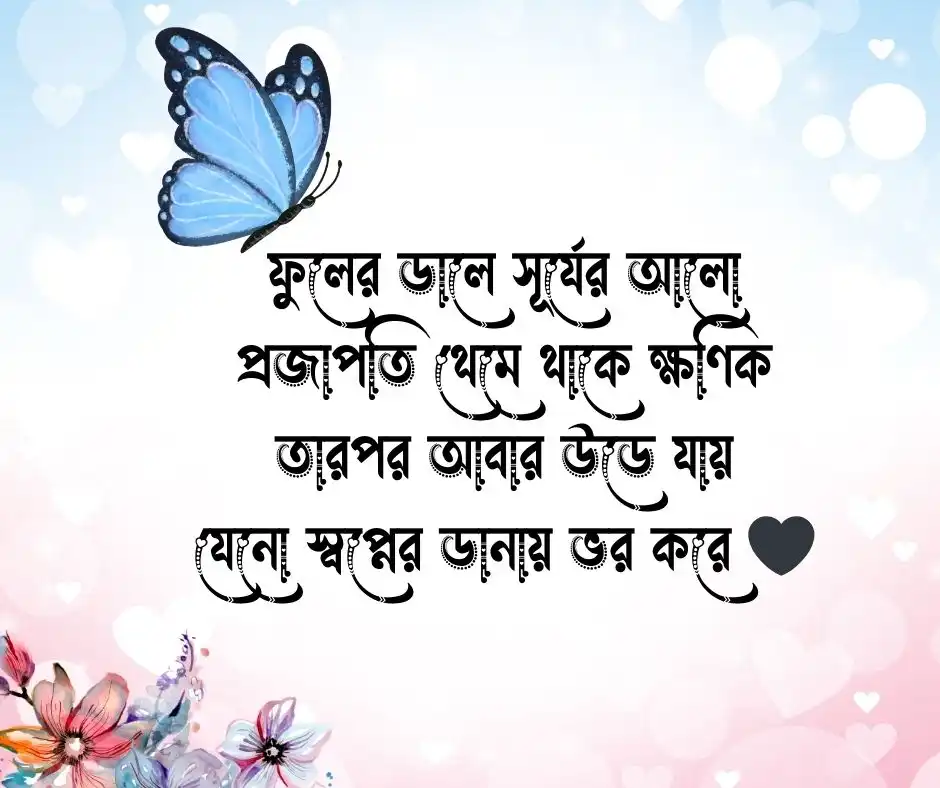 প্রজাপতি নিয়ে ছন্দ