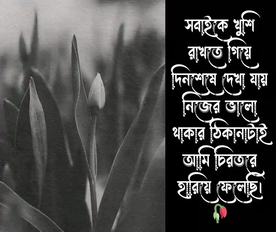 ইমোশনাল কষ্টের স্ট্যাটাস ছবি