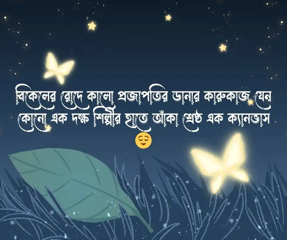 কালো প্রজাপতি নিয়ে ক্যাপশন