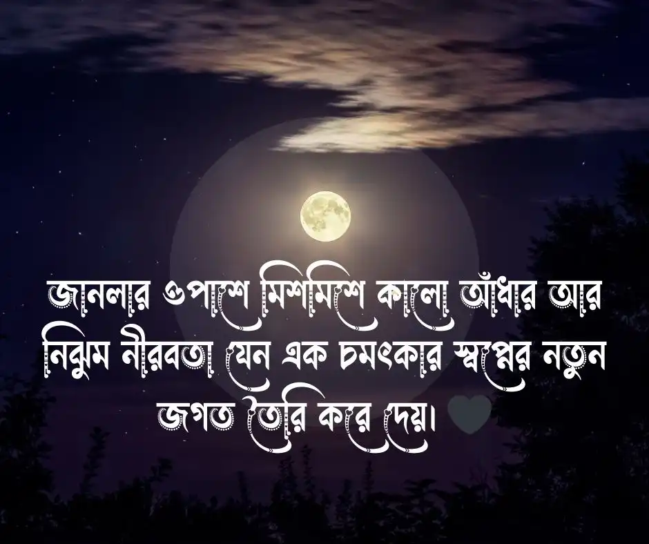 রাত নিয়ে ছোট ক্যাপশন