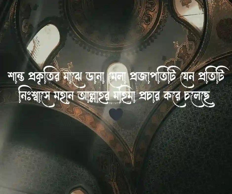 প্রজাপতি নিয়ে ইসলামিক ক্যাপশন