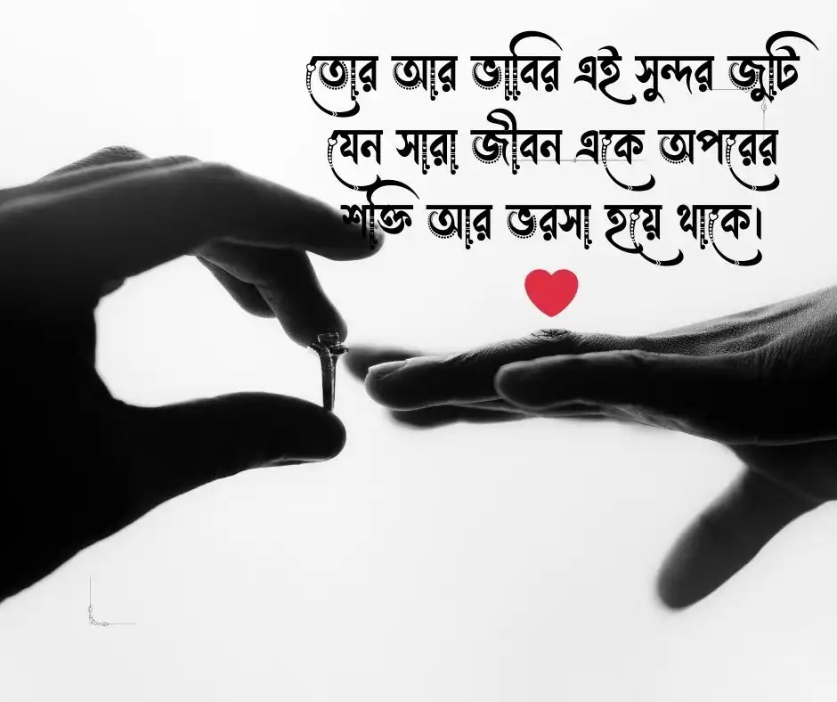 ভাইয়ের বিয়ে নিয়ে স্ট্যাটাস