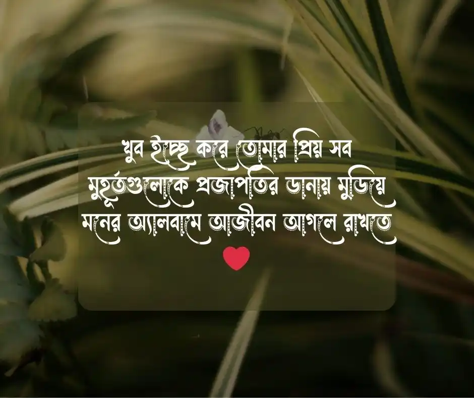 প্রজাপতি নিয়ে ভালোবাসার ক্যাপশন