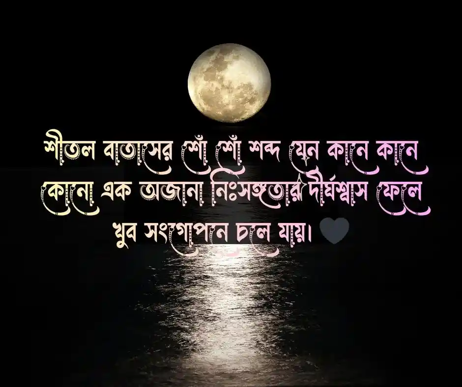 শীতের রাত নিয়ে ক্যাপশন