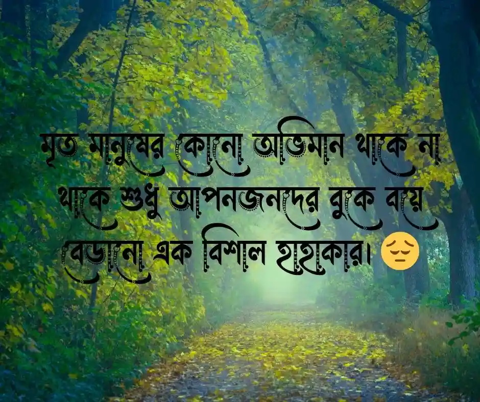 Sad মৃত্যু নিয়ে স্ট্যাটাস
