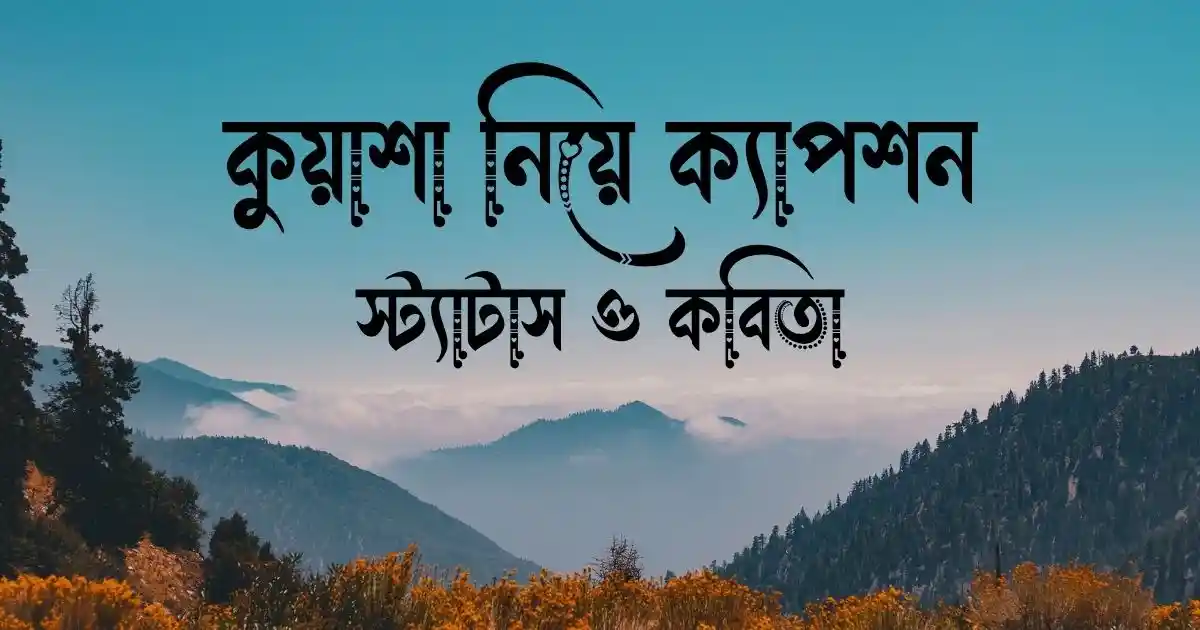 কুয়াশা নিয়ে ক্যাপশন, স্ট্যাটাস ও কবিতা